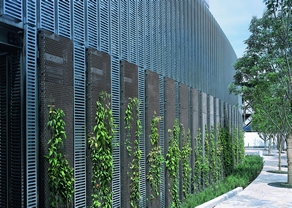Walls
